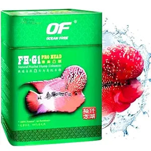 FH-G1 PRO HEAD OCEAN FREE 120G